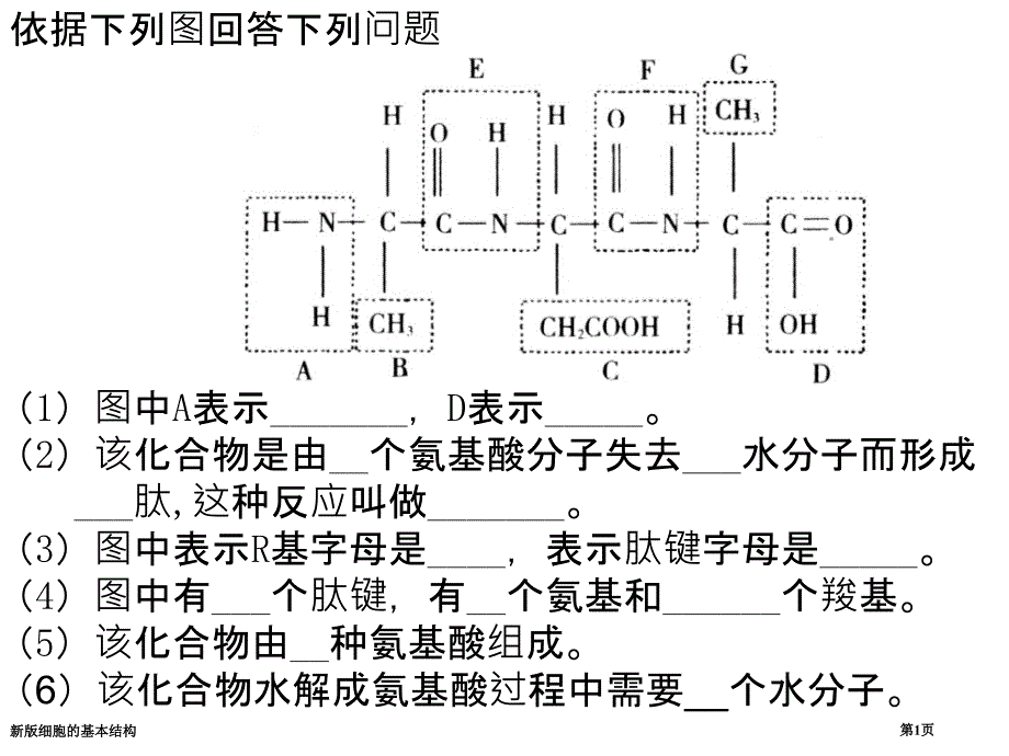 新版细胞的基本结构_第1页