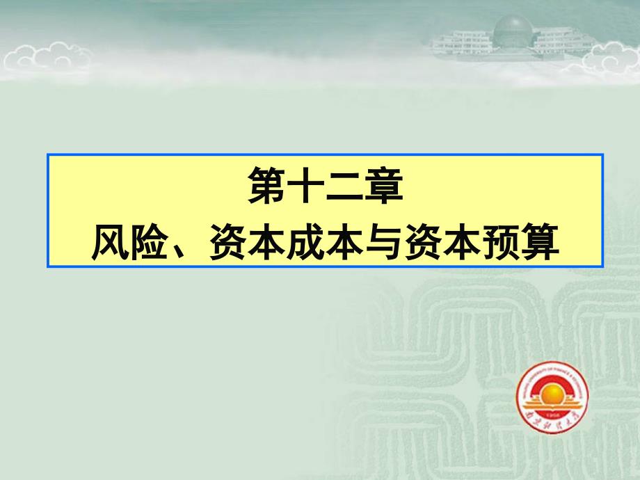 第十二章风险、资本成本与资本预算_第1页