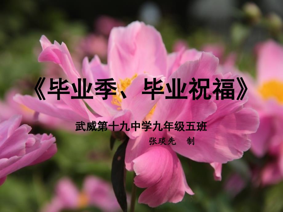 《毕业季毕业祝福》课件_第1页