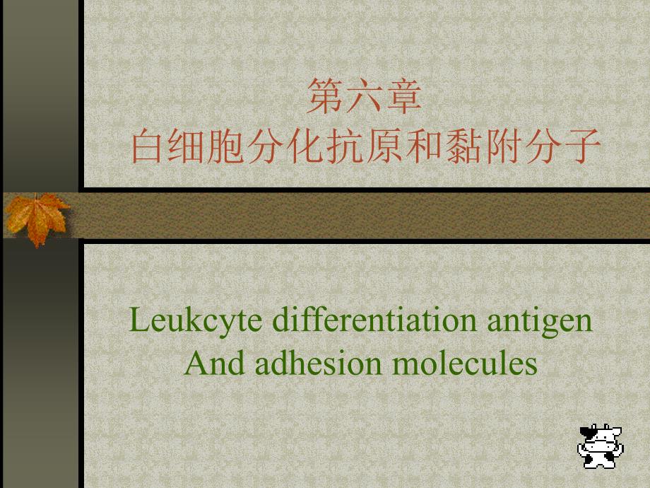 CD分子与黏附分子课件_第1页