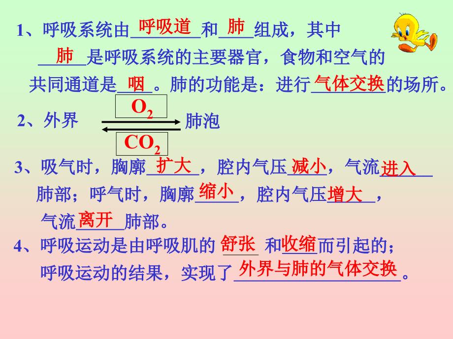 生物的呼吸和呼吸作用（2）_第1页