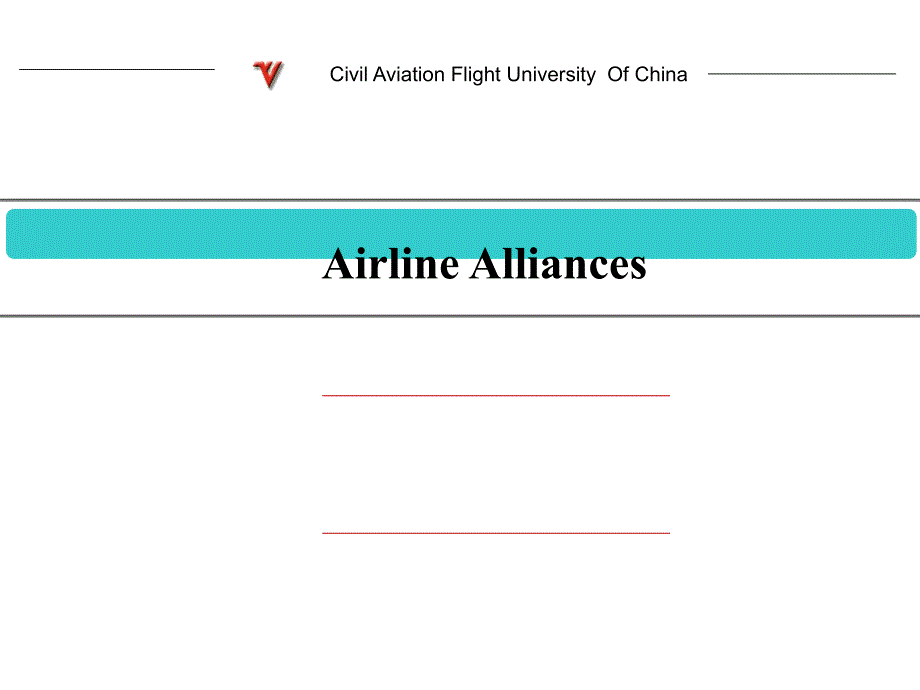 民航运输联盟-airline-alliance_第1页