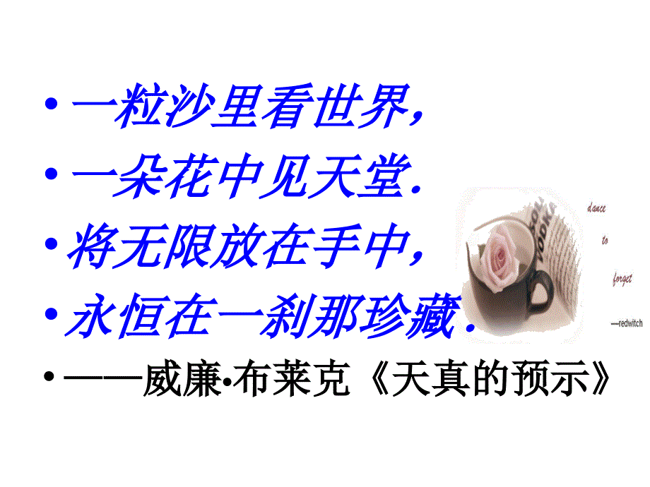 《半张纸》(升级版)课件_第1页