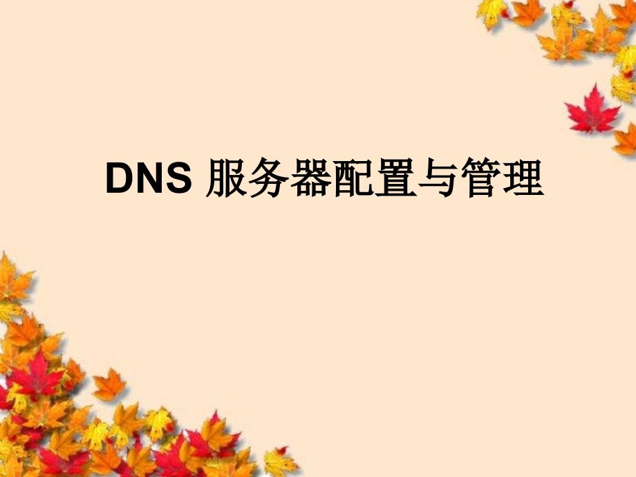 DNS的配置与管理课件_第1页