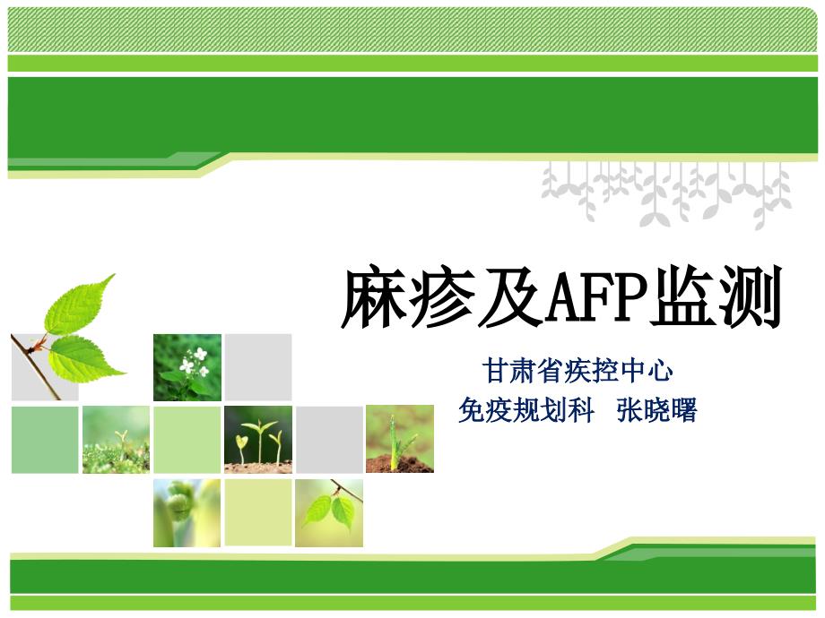 AFP及麻疹监测探素课件_第1页