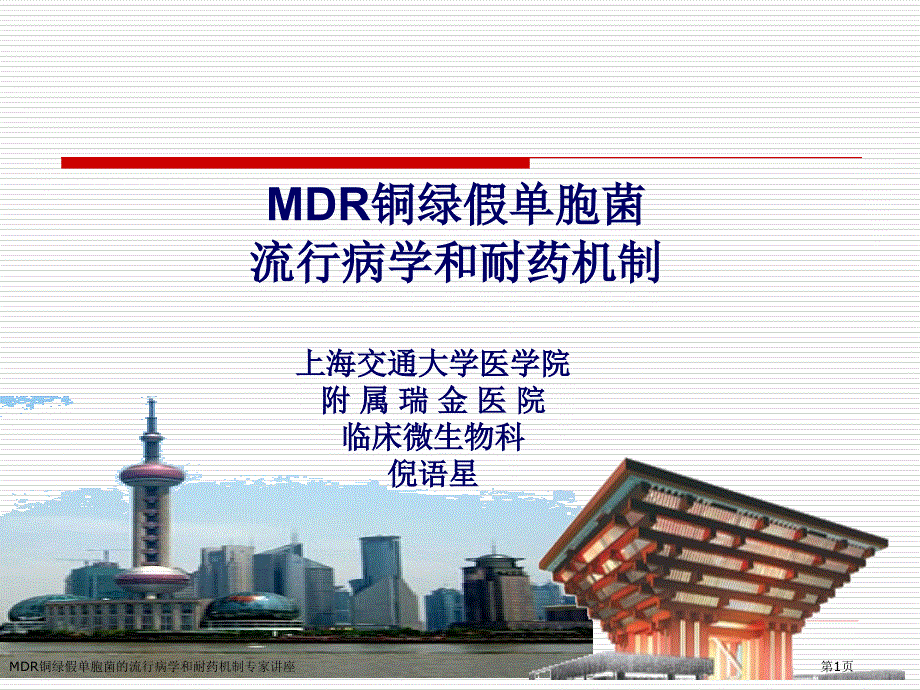 MDR铜绿假单胞菌的流行病学和耐药机制专家讲座_第1页