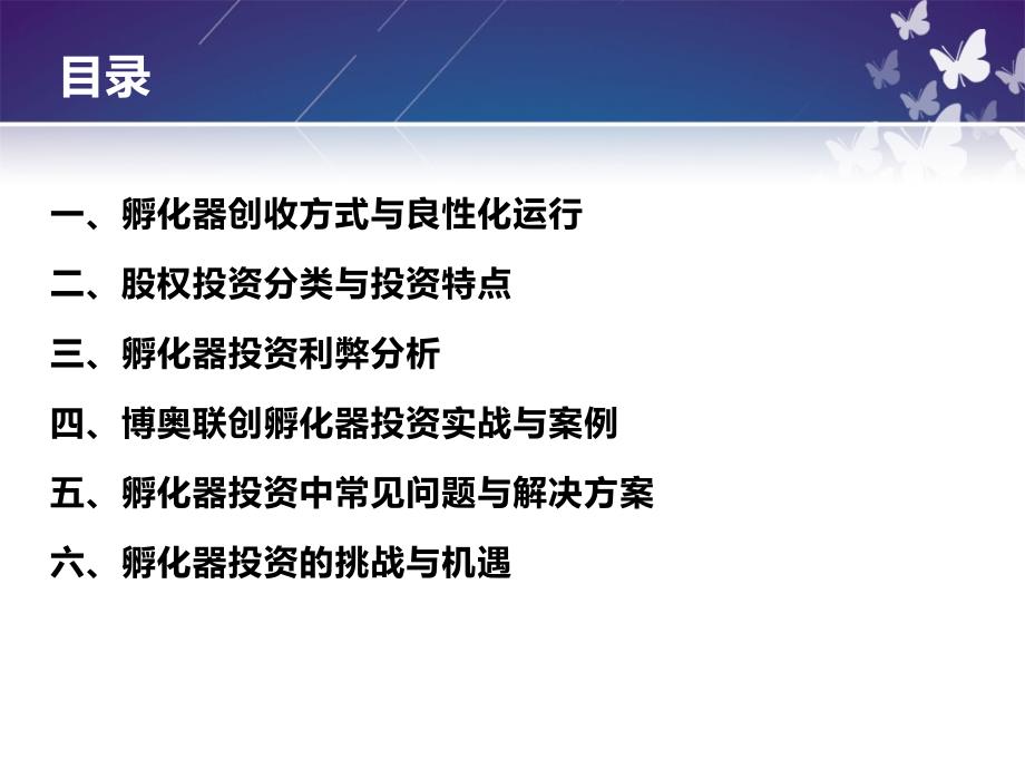 孵化器投资模式课件_第1页