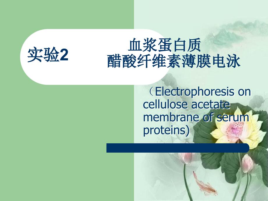 血浆蛋白质醋纤膜电泳_第1页