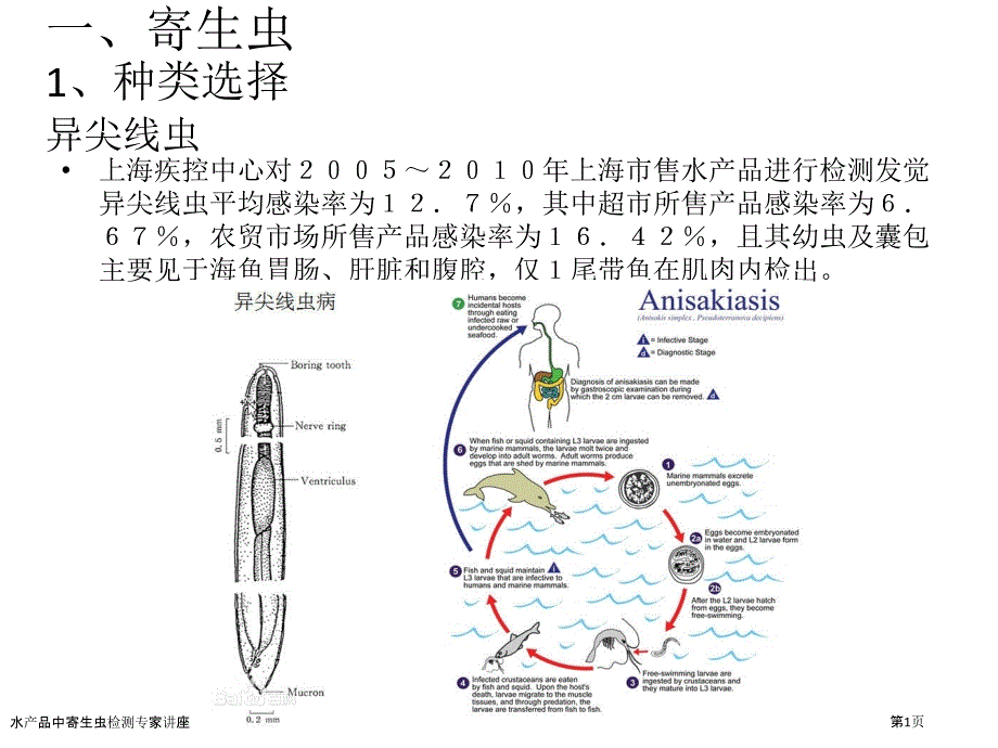 水产品中寄生虫检测专家讲座_第1页