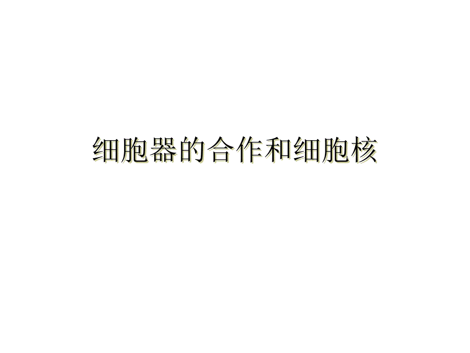 细胞器的合作和细胞核课件_第1页