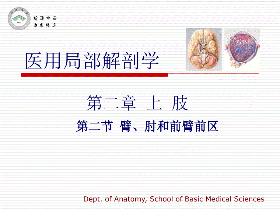 醫(yī)用局部解剖學臂、肘和前臂前區(qū)_第1頁