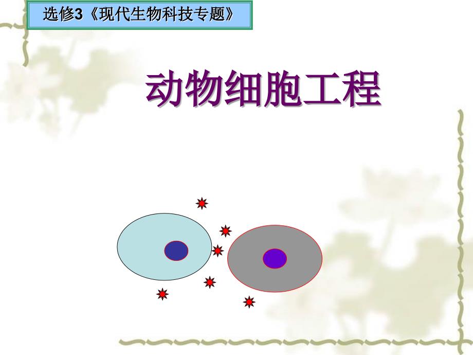 人教版教学课件22动物细胞工程1上_第1页