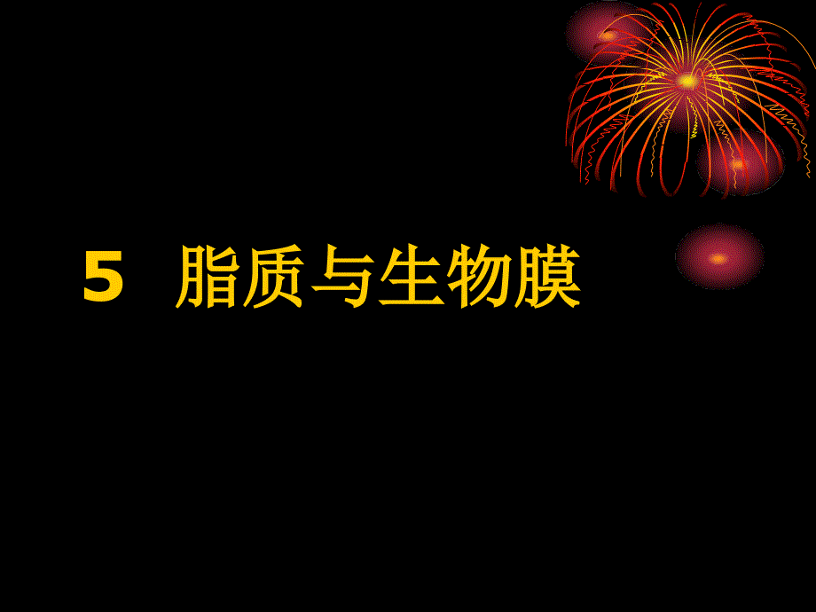 磷脂是细胞膜的重要组成课件_第1页