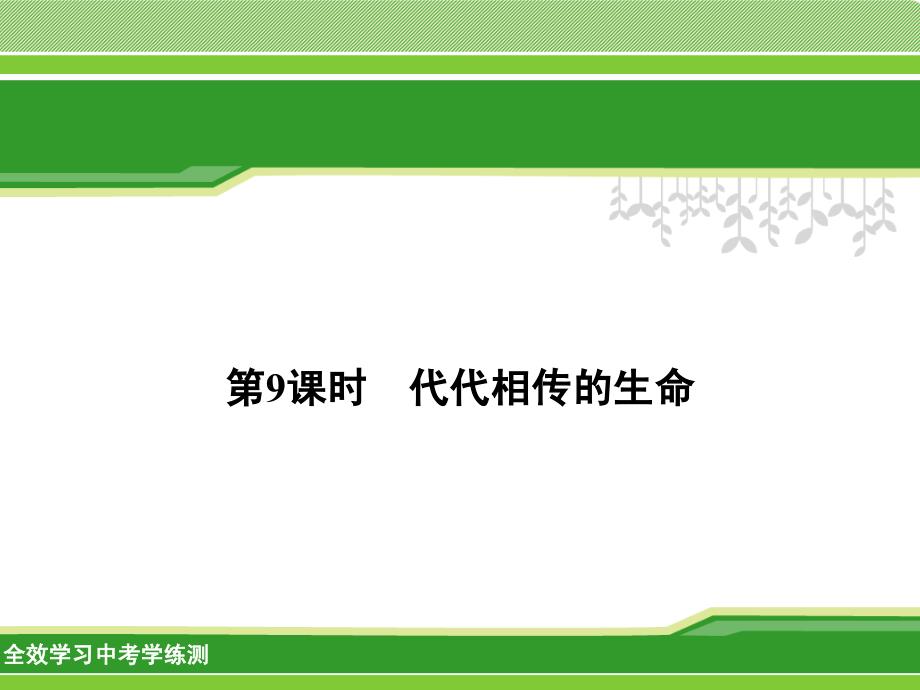 时代代相传的生命资料课件_第1页