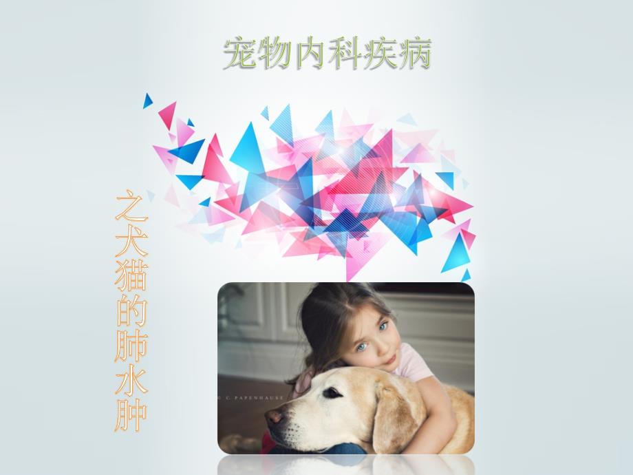 第七组犬猫的肺水肿课件_第1页