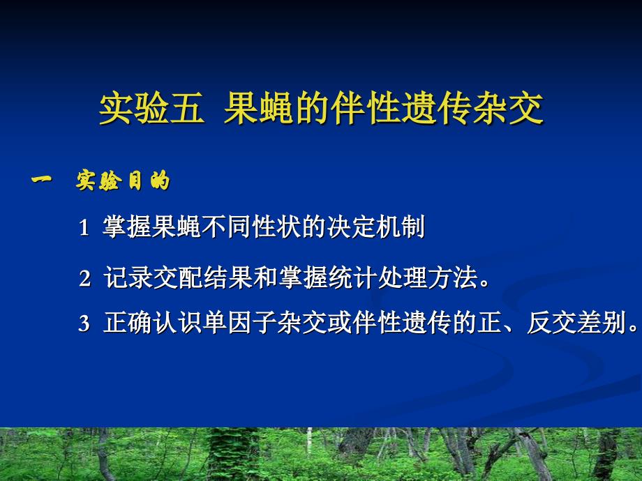 果蝇的伴性遗传杂交课件_第1页