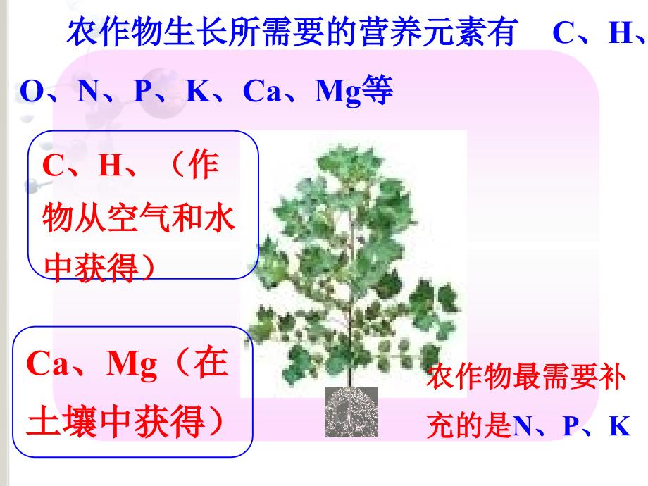 课题2化学肥料_第1页