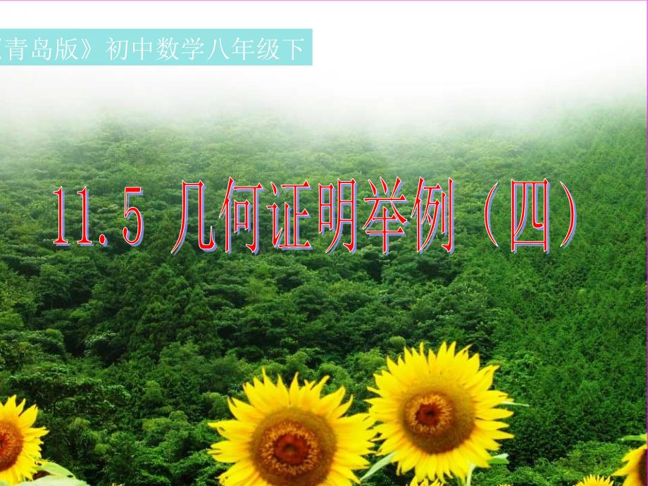 青岛版数学八下《115几何证明举例》4_第1页