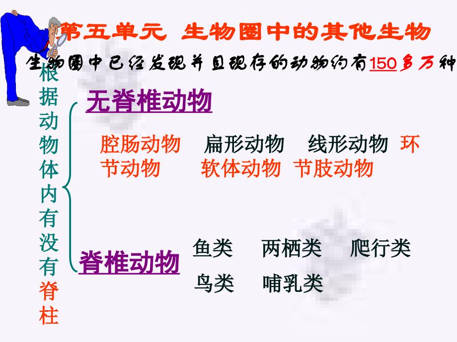 生物圈中的其他生物复习_第1页