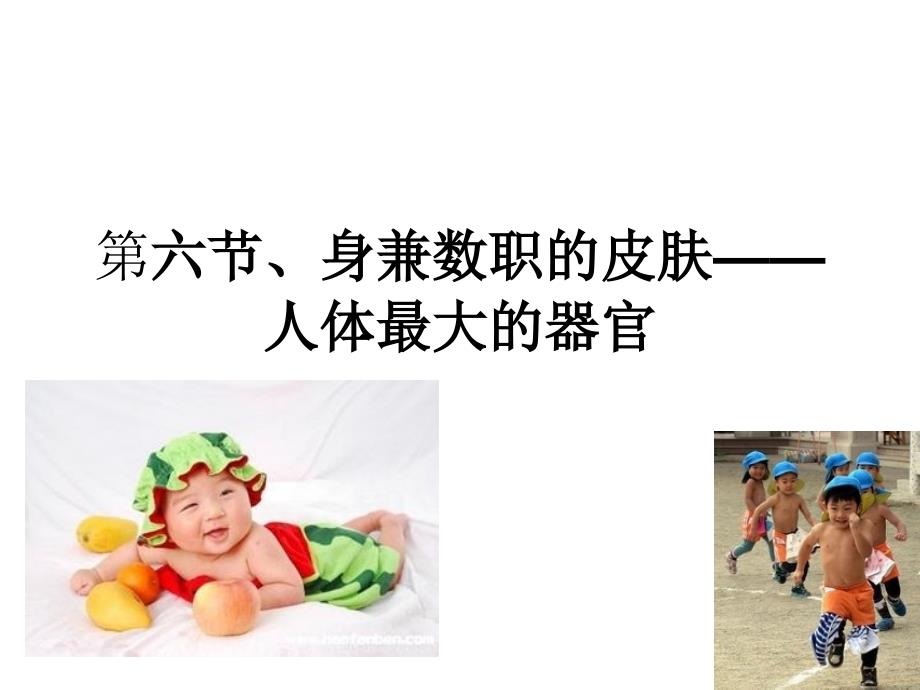 幼儿卫生学皮肤课件_第1页