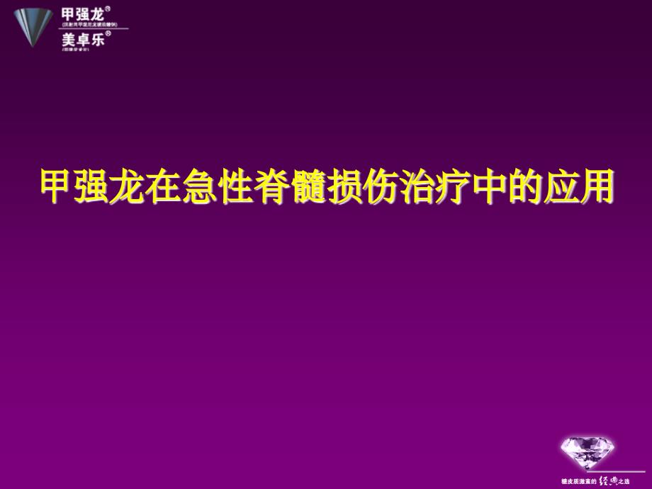 脊髓损伤激素的使用PIM幻灯课件_第1页