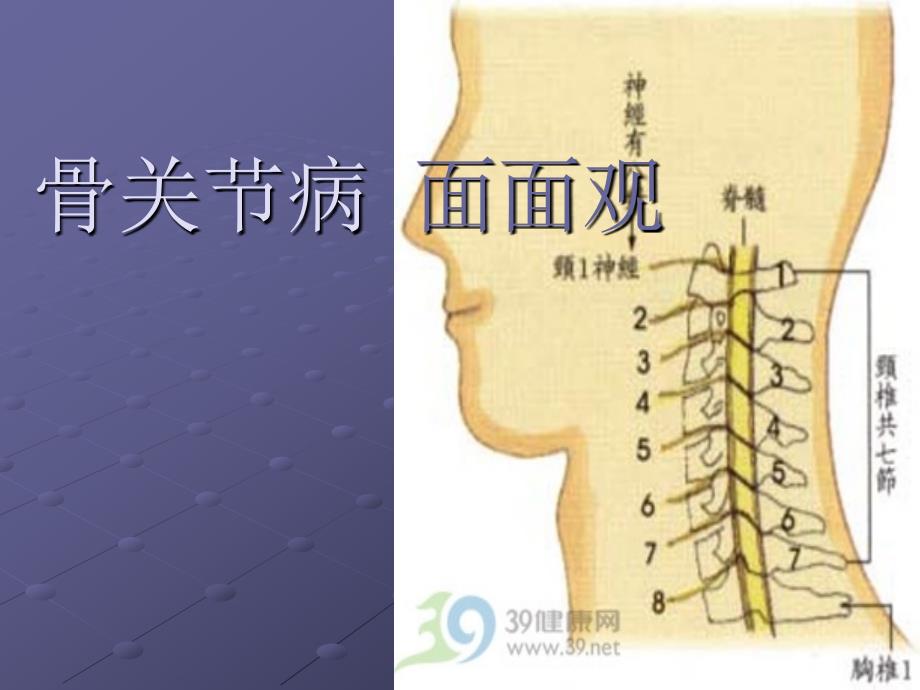 浅论骨关节病面面观课件_第1页