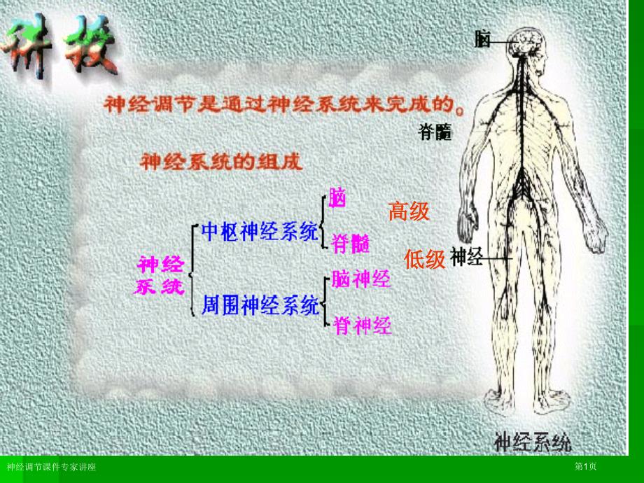 神经调节课件专家讲座_第1页