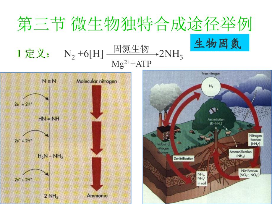 微生物的生长与控制_第1页