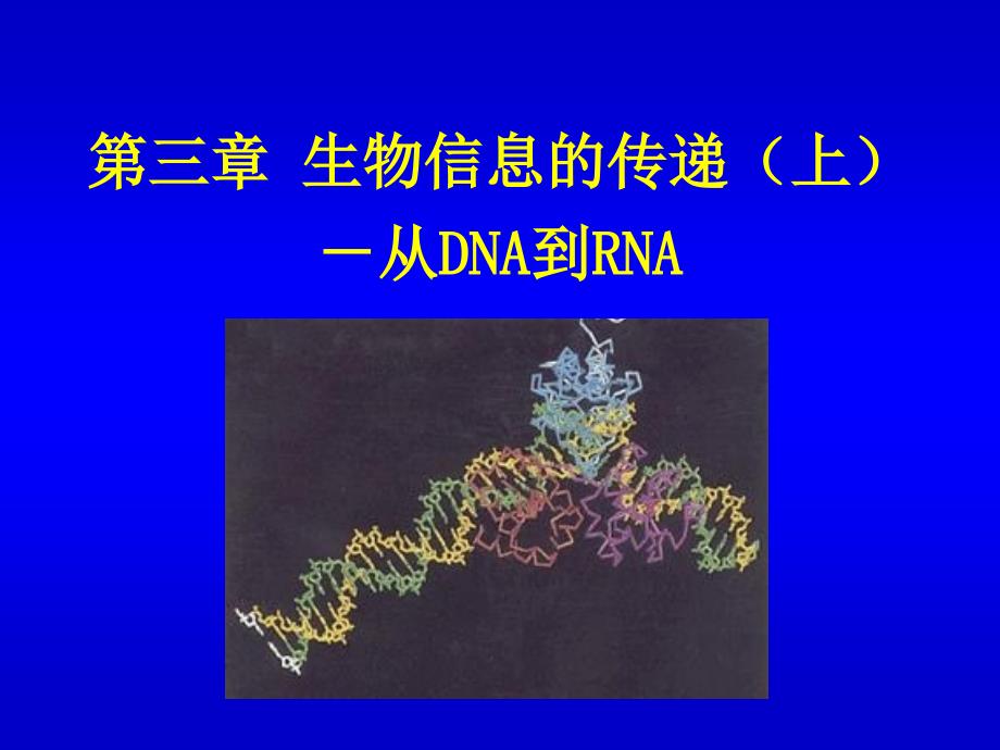 生物化学生物信息的传递上从DNA到RNA_第1页