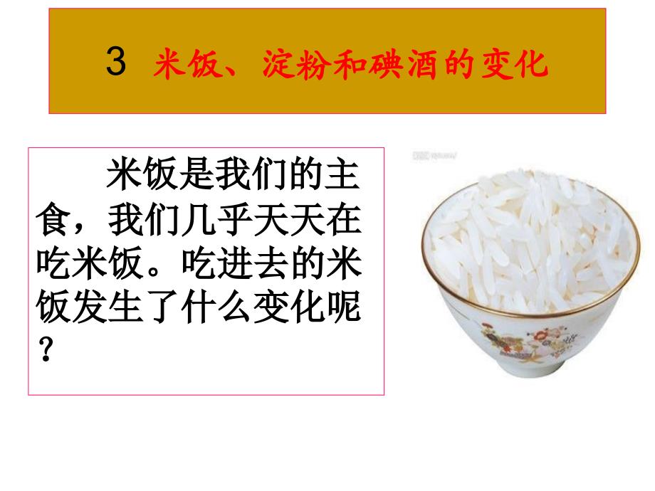 教科版科学六年级下册3《米饭、淀粉和碘酒的变化》_第1页