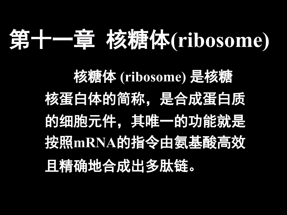 细胞生物学11核糖体_第1页