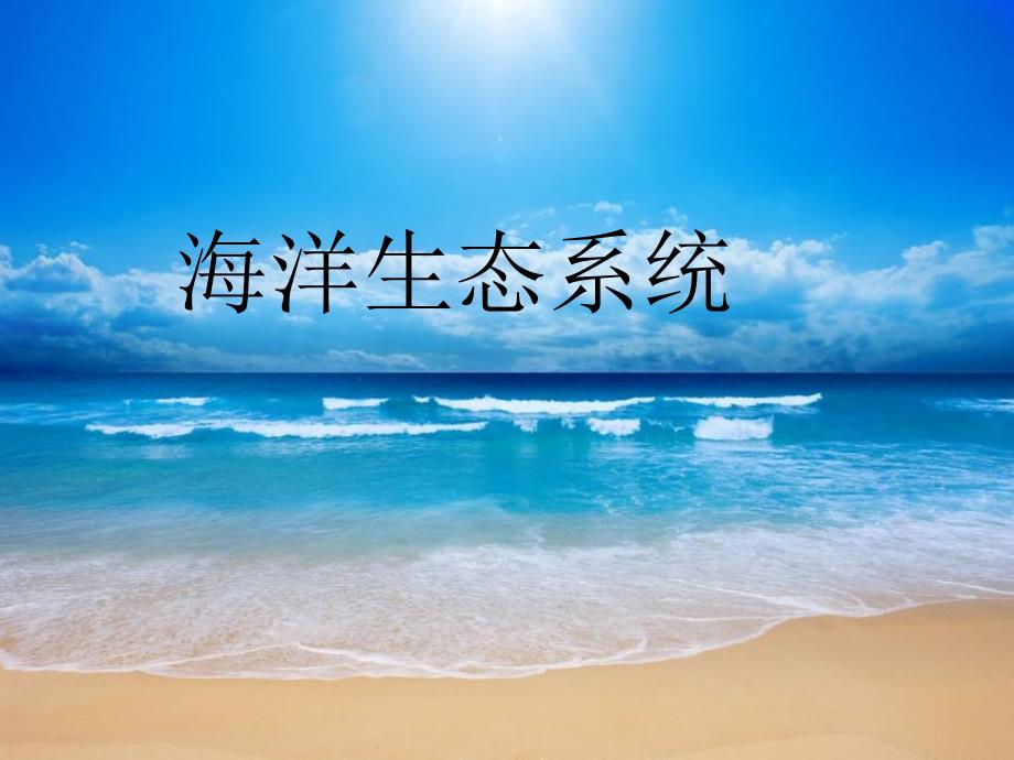 海洋生态系统分解课件_第1页