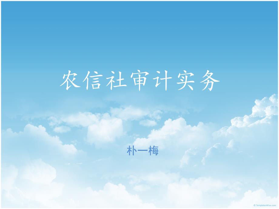 农信社审计实务课件_第1页