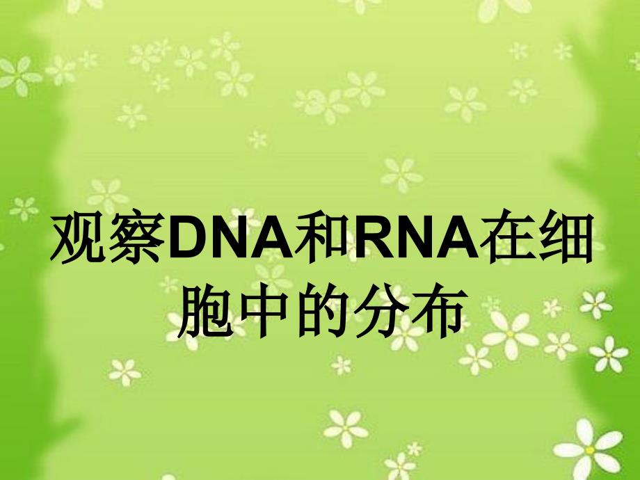 观察在DNA和RNA细胞中的分布课件_第1页