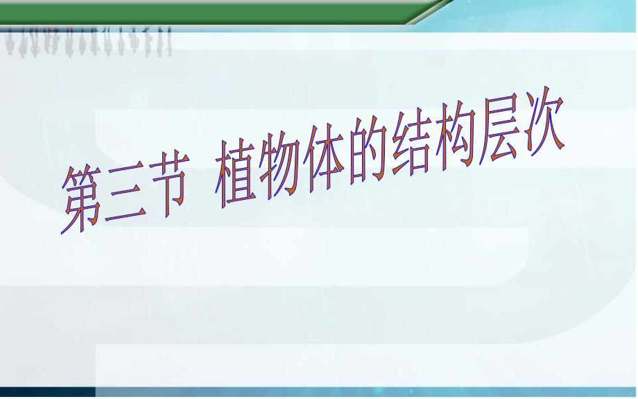 人教版七年级上册生物植物体的结构层次通用课件_第1页