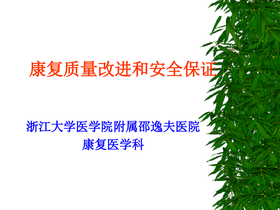 康复质量改进和安全保证_第1页