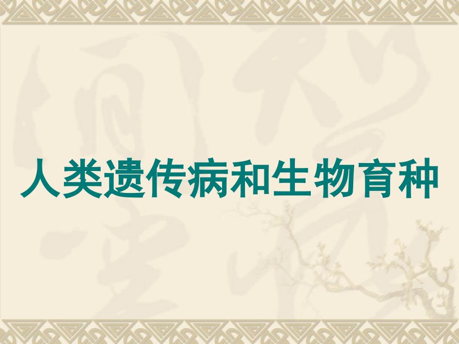 人类遗传病及遗传育种(高三一轮复习)课件_第1页