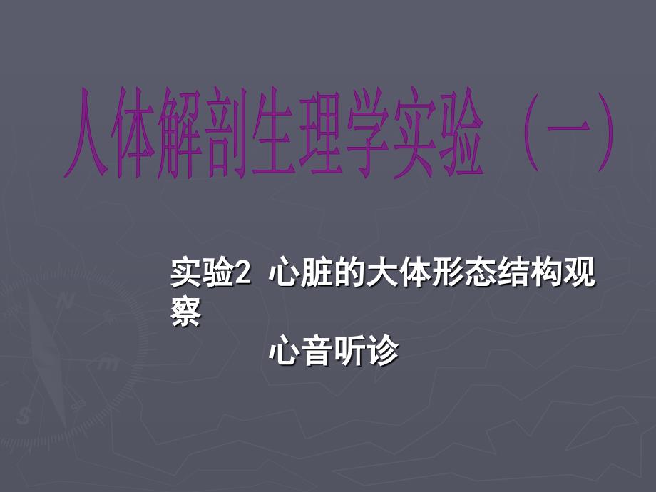 心脏大体形态结构观察-蛙心灌流、心音听诊课件_第1页