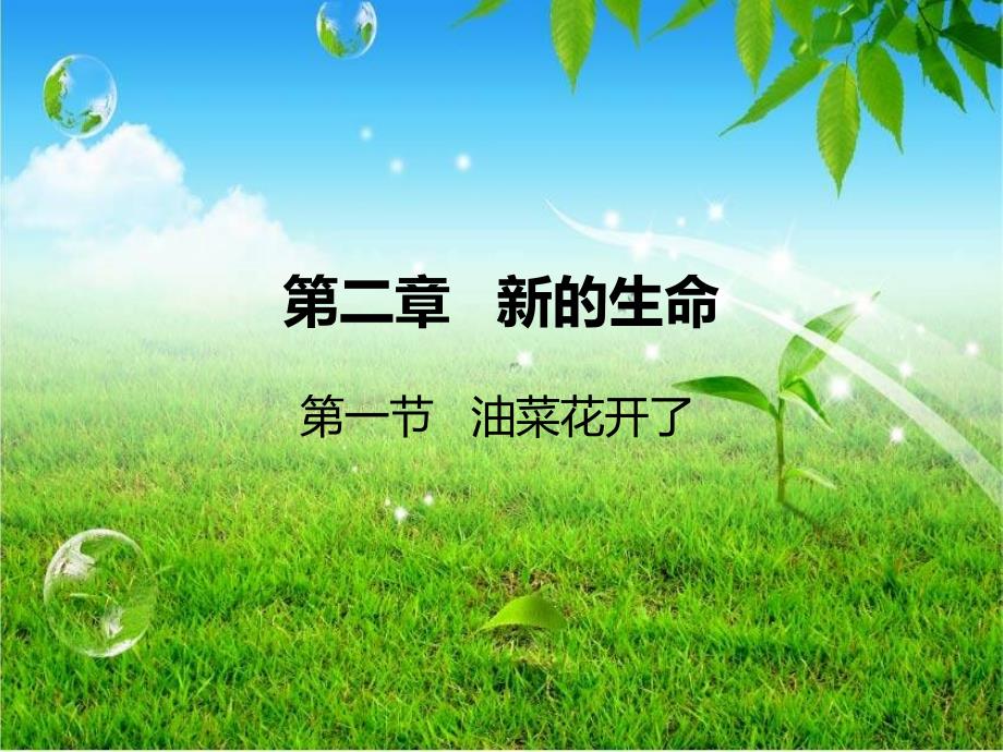 四年级科学新的生命_第1页