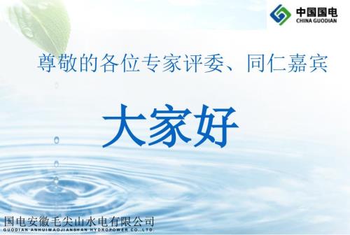 提高毛尖山電站購(gòu)電功率因數(shù)