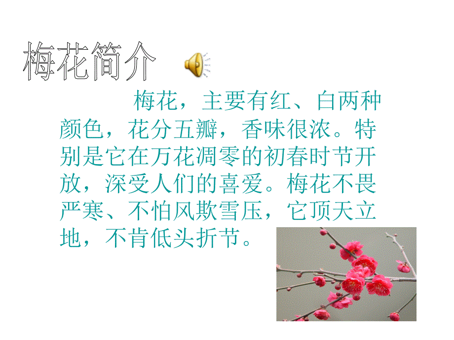 《梅花魂》课件6_第1页