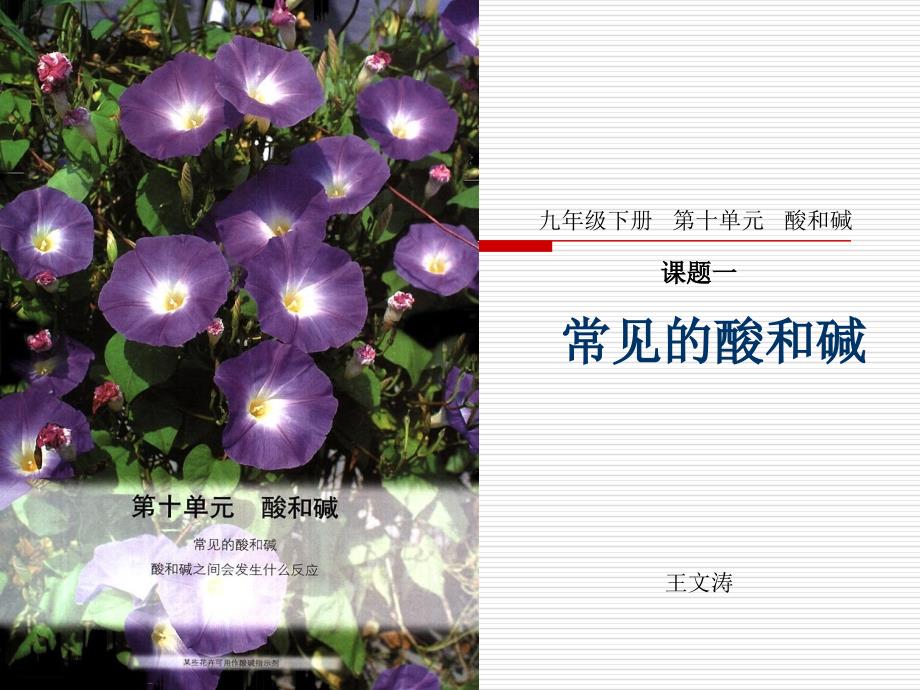 常见的酸和碱教学用PPT_第1页