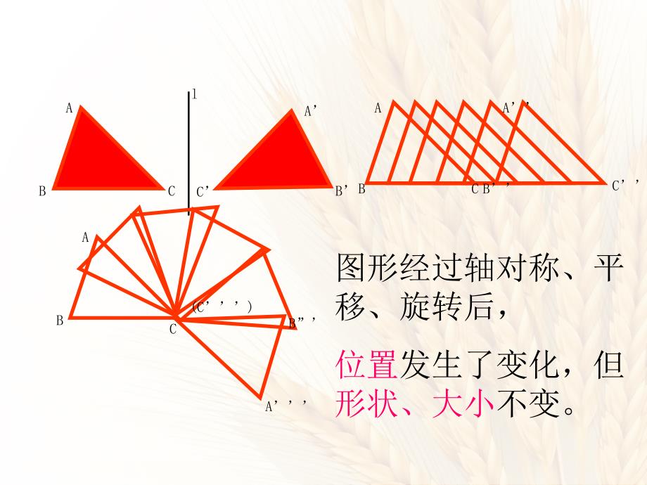 全等三角形及全等三角形中的动态问题(课件_第1页