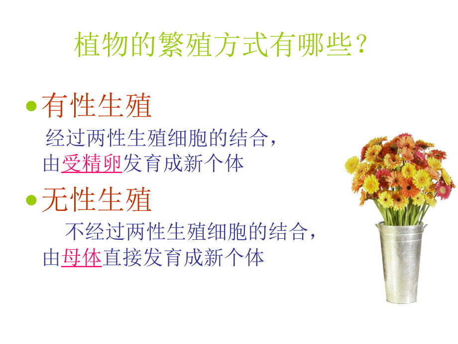 昆虫的生殖和发育_第1页