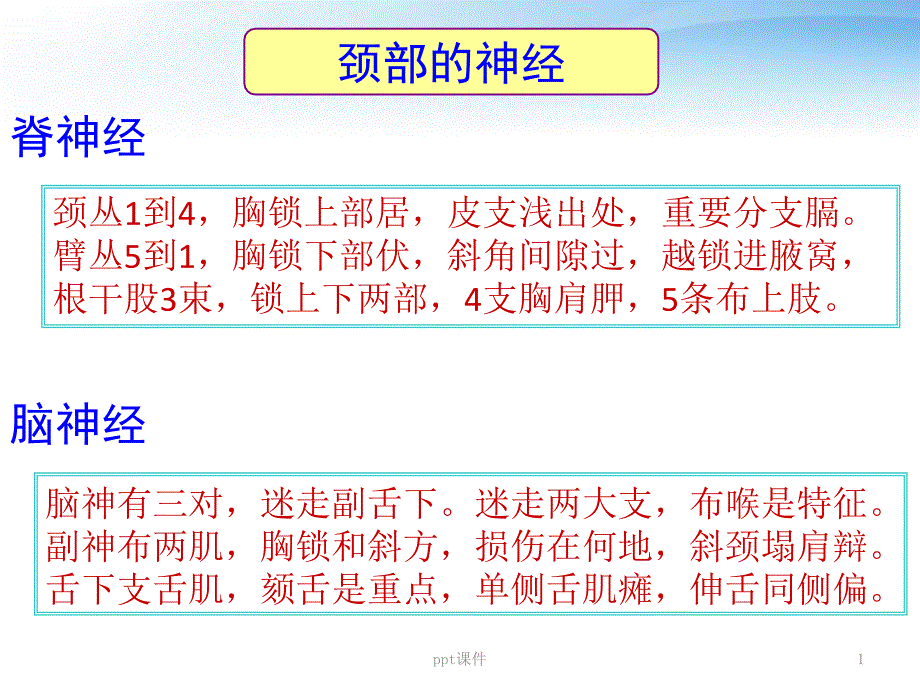 头颈部神经总结--课件_第1页