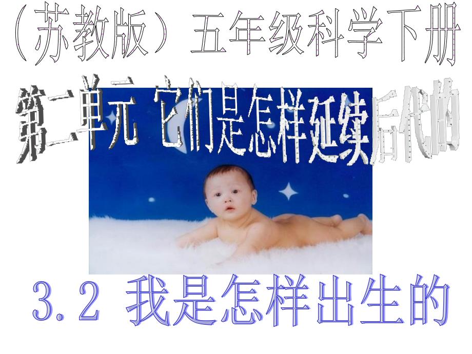 我是怎样出生的教学课件_第1页