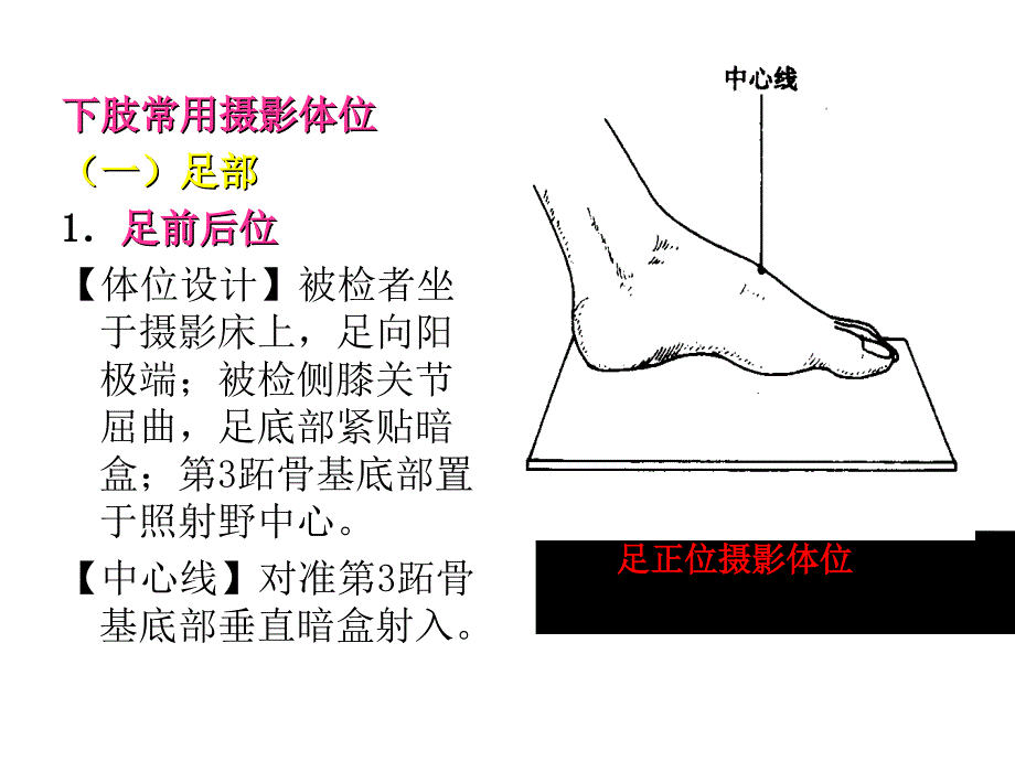 四肢X线技术之足踝课件_第1页