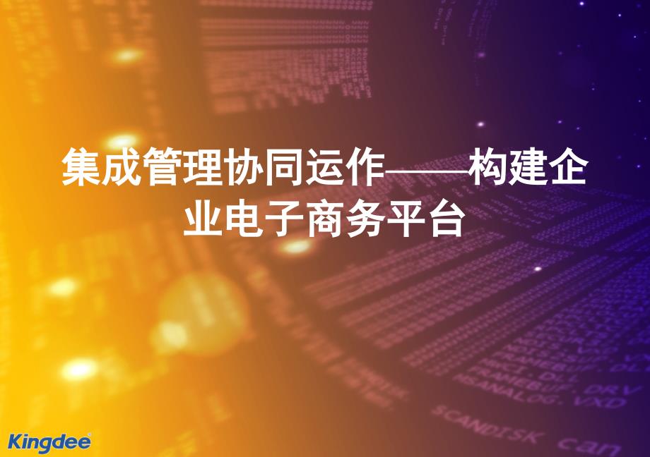 集成管理协同运作——构建企业电子商务平台课件_第1页