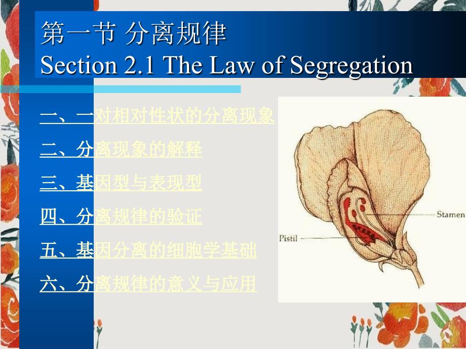 医学遗传学第三章第一节分离规律_第1页