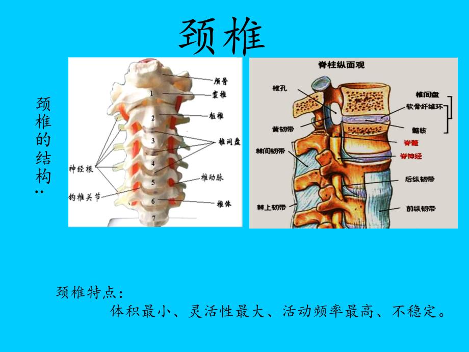 頸椎骨科檢查 幻燈片_第1頁(yè)